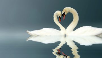 branding relations and love