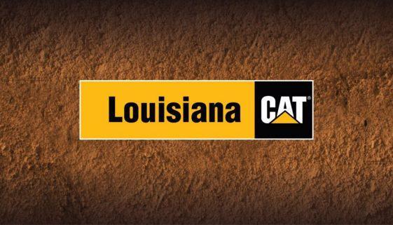 Louisiana Cat, brandRUSSO Case Studies